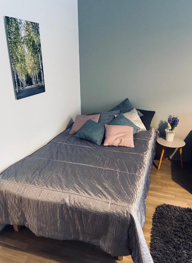 Studiohuoneisto Vallikadun Helmi, 56 M2, Ac,wifi,parveke Apartment *